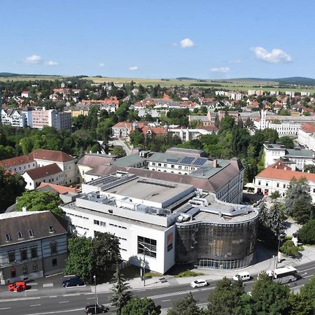 Panorama View Family Apartment Veszprém Esterno foto