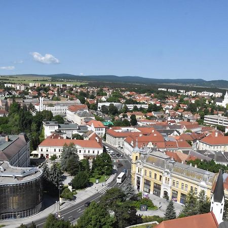 Panorama View Family Apartment Veszprém Esterno foto