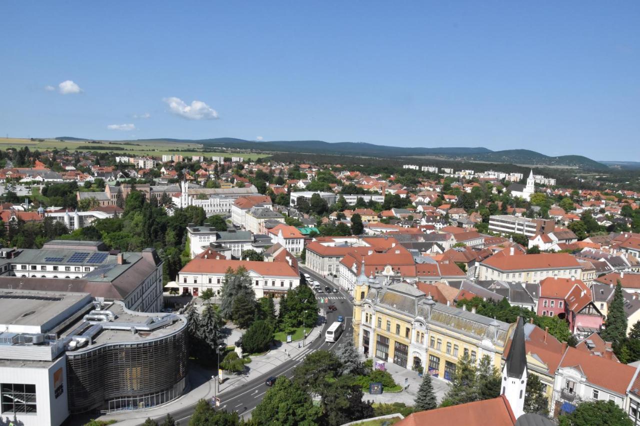 Panorama View Family Apartment Veszprém Esterno foto
